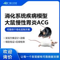 大鼠慢性胃炎ACG模型