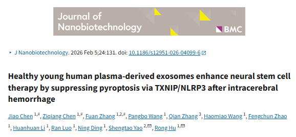 IF:12+，年轻外泌体赋能NSC|miR-16-5p靶向TXNIP抑制焦亡，重塑脑出血神经修复微环境，疗效拉满！