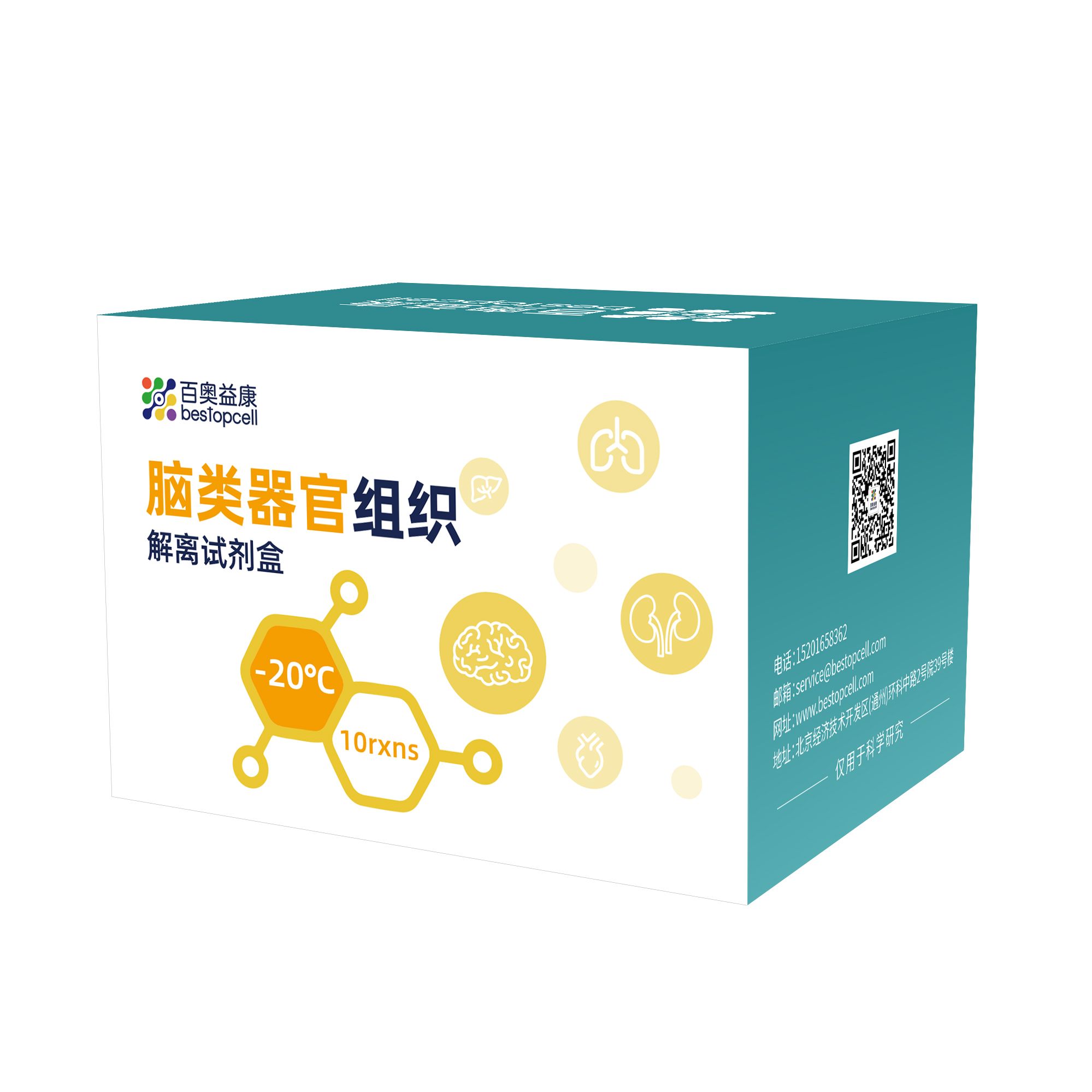 百奥益康脑类器官组织解离试剂盒