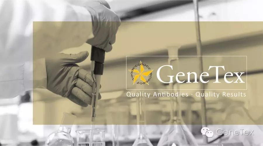 GeneTex品牌