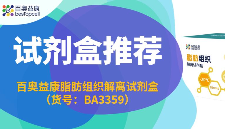 试剂盒推荐 | 百奥益康脂肪组织解离试剂盒（货号：BA3359）