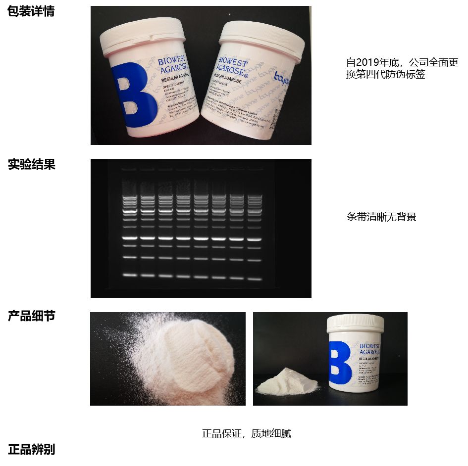  BIOWEST AGAROSE西班牙琼脂糖 BY-R0100  100g/瓶
