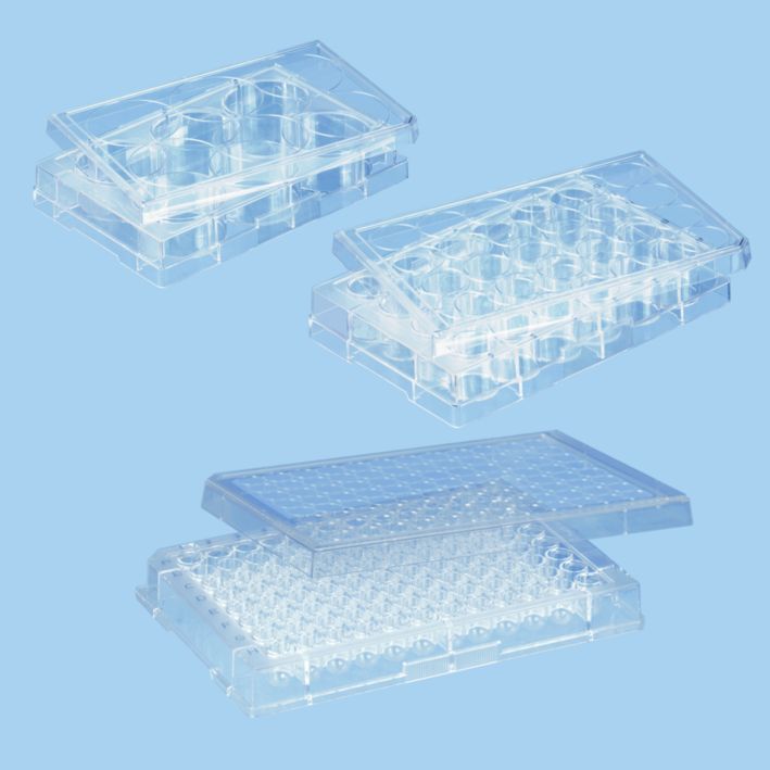 BIOFLOAT™ 3D细胞培养板 6孔 24孔 96孔