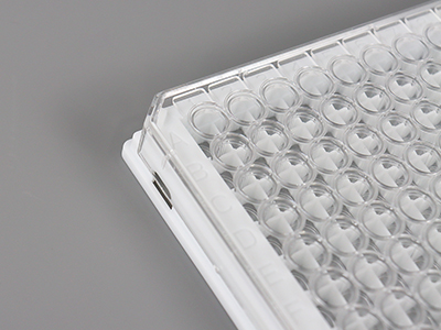 清晰的字母数字标号，便于不同孔内样本辨别