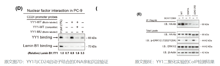 新闻图片2