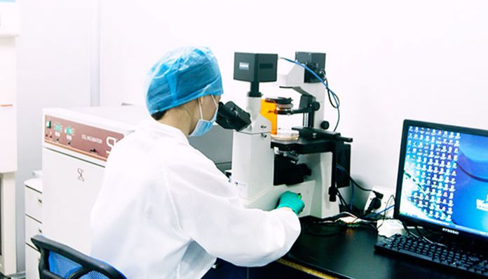 GST pull down对照设计步骤与数据解读（附文献实例）