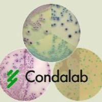西班牙康达Condalab琼脂糖及分子细胞类培养基、染色液、显色培养基、基础琼脂粉、蛋白胨、酵母粉和琼脂糖等原料 目录-1