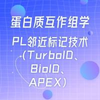 蛋白质互作组学：PL邻近标记技术（TurboID、BioID、APEX）