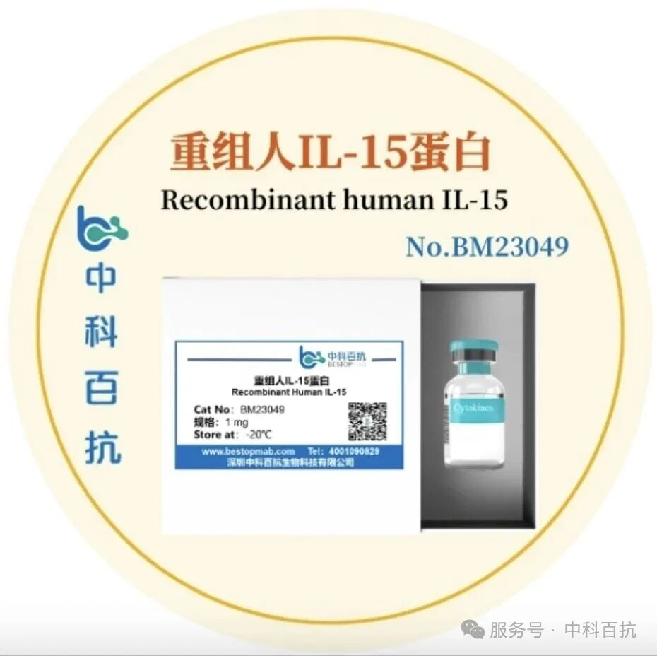 白介素15的作用