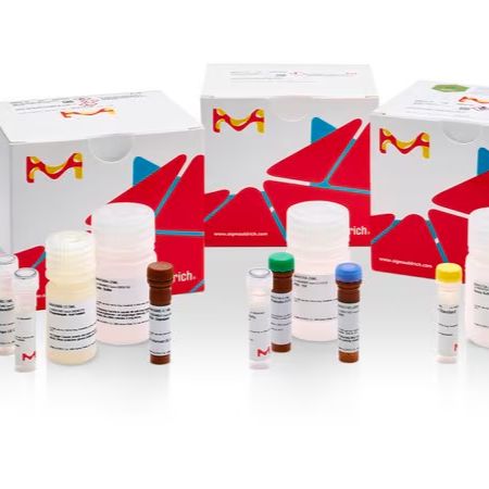 Sigma货号MAK139醛类检测试剂盒(比色法)19121878899上海睿安生物Merck-Roche-Millipore-Sigma官方授权代理商