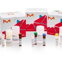 Sigma货号MAK139醛类检测试剂盒(比色法)19121878899上海睿安生物Merck-Roche-Millipore-Sigma官方授权代理商