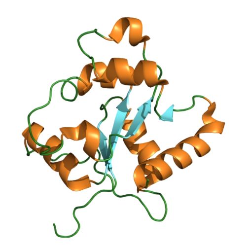 重组小鼠TLR2蛋白 | Recombinant Mouse TLR2, 25-250aa, His-tag