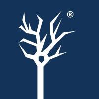 CST货号21799现货Aiolos(D1C1E) Rabbit Monoclonal Antibody(PE Conjugate)上海睿安生物19121878899