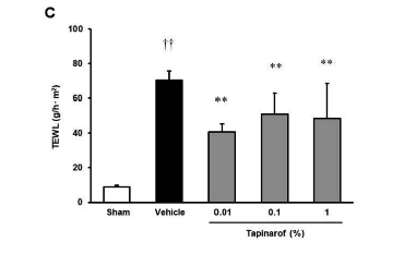 屏幕截图 2026-02-11 111613.png
