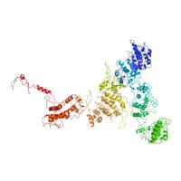 重组小鼠CD206/MRC1蛋白 | Recombinant Mouse CD206/MRC1, 20-1388aa, His-tag