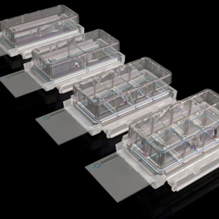 赛宁细胞培养、生物检测、液体处理、安全防护-2026产品手册