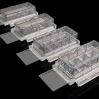 赛宁细胞培养、生物检测、液体处理、安全防护-2026产品手册