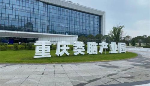 重庆脑与智能科学中心与威斯腾生物产业研究院深化合作 共筑脑科学创新生态