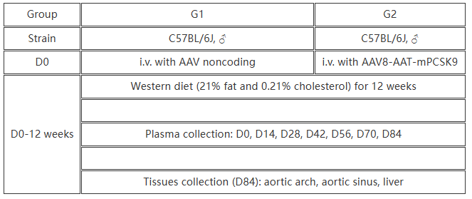 靶向PCSK9药物研发：基于AAV的动脉粥样硬化临床前模型