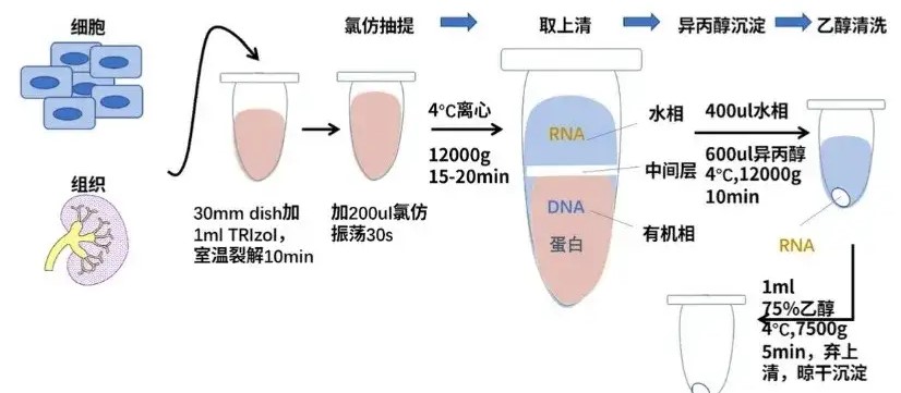 新闻图片2