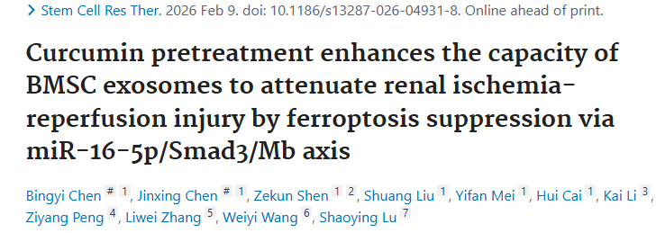 姜黄素+外泌体=双Buff？Stem Cell Res Ther｜西安交大第一附属医院团队：姜黄素预处理外泌体减轻肾缺血再灌注损伤！