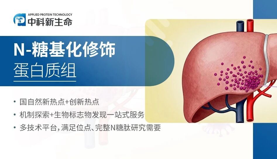 祝贺！ 中科新生命专家顾问陆豪杰教授领衔发表NC成果：多中心队列研究解析肝癌血清糖基化动态变化机制，赋能早期诊断与精准分型
