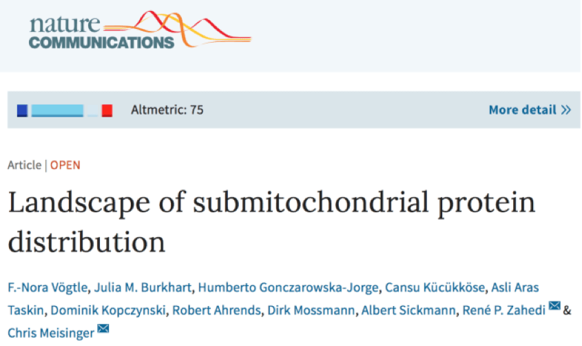 这期小编给大家介绍一篇关于线粒体亚细胞器水平的蛋白组学的研究,于本月发表于Nature Communications杂志。作者结合SILAC标记法与质谱鉴定的手段,研究了线粒体外膜,膜间质,内膜,以及线粒体基质的四个组分的蛋白质组学情况。 这期小编给大家介绍一篇关于线粒体亚细胞器水平的蛋白组学的研究,于本月发表于Nature Communications杂志。作者结合SILAC标记法与质谱鉴定的手段,研究了线粒体外膜,膜间质,内膜,以及线粒体基质的四个组分的蛋白质组学情况。