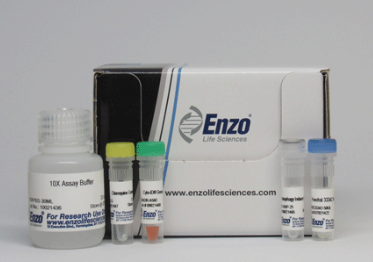 CYTO-ID®&nbsp;Autophagy&nbsp;detection&nbsp;kit