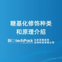 糖基化修饰种类和原理介绍-百泰派克生物科技