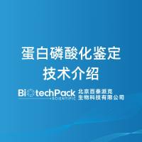 蛋白磷酸化鉴定技术介绍-百泰派克生物科技