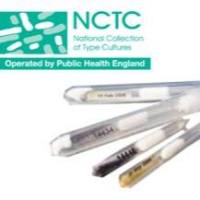 英国NCTC菌株、NCPF真菌
