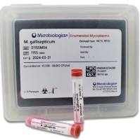 美国Microbiologics公司定量支原体、EZ-CFU™ 定量菌株、EZ-CFU™ One Step 定量菌株、EZ-Accu Shot™ Select 定量菌株、EZ-PEC™ 定量菌株、EZ-Accu Shot™ 定量菌株、 Epower™ 定量菌株、EZ-SPORE™ 定量菌株