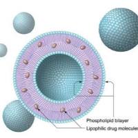 甘草次酸（GA） 与 TAT 肽双修饰 10-羟基喜树碱纳米脂质体用于增强肝癌靶向与穿透性治疗