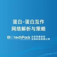 蛋白–蛋白互作网络解析与策略
