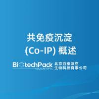 共免疫沉淀 (Co‑IP) 概述