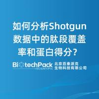 如何分析Shotgun数据中的肽段覆盖率和蛋白得分？