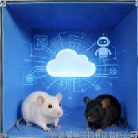 AI大小鼠旷场精细行为分析系统