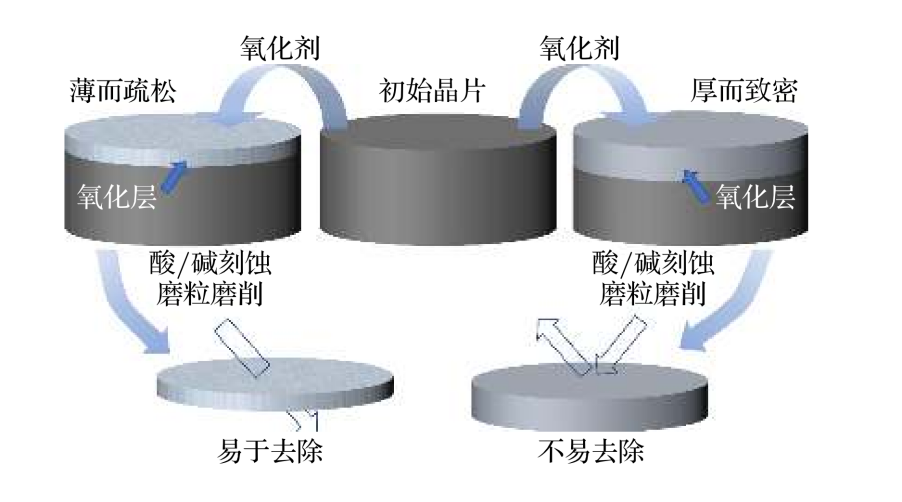 新闻图片4