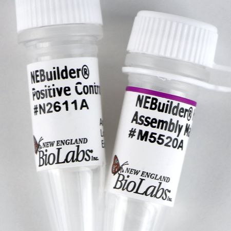 NEB E2621 NEBuilder® 高保真 DNA 组装预混液