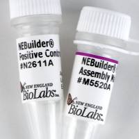 NEB	E2621	NEBuilder® 高保真 DNA 组装预混液