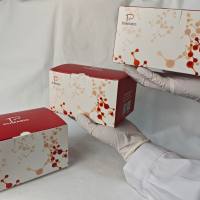 超氧化物歧化酶（Superoxide Dismutase, SOD）试剂盒（WST-8法）（分光光度法）