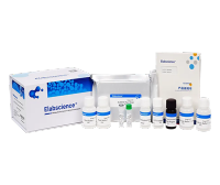 微量法小鼠白介素6(IL-6)ELISA试剂盒-MS Mouse IL-6(Interleukin 6) ELISA Kit