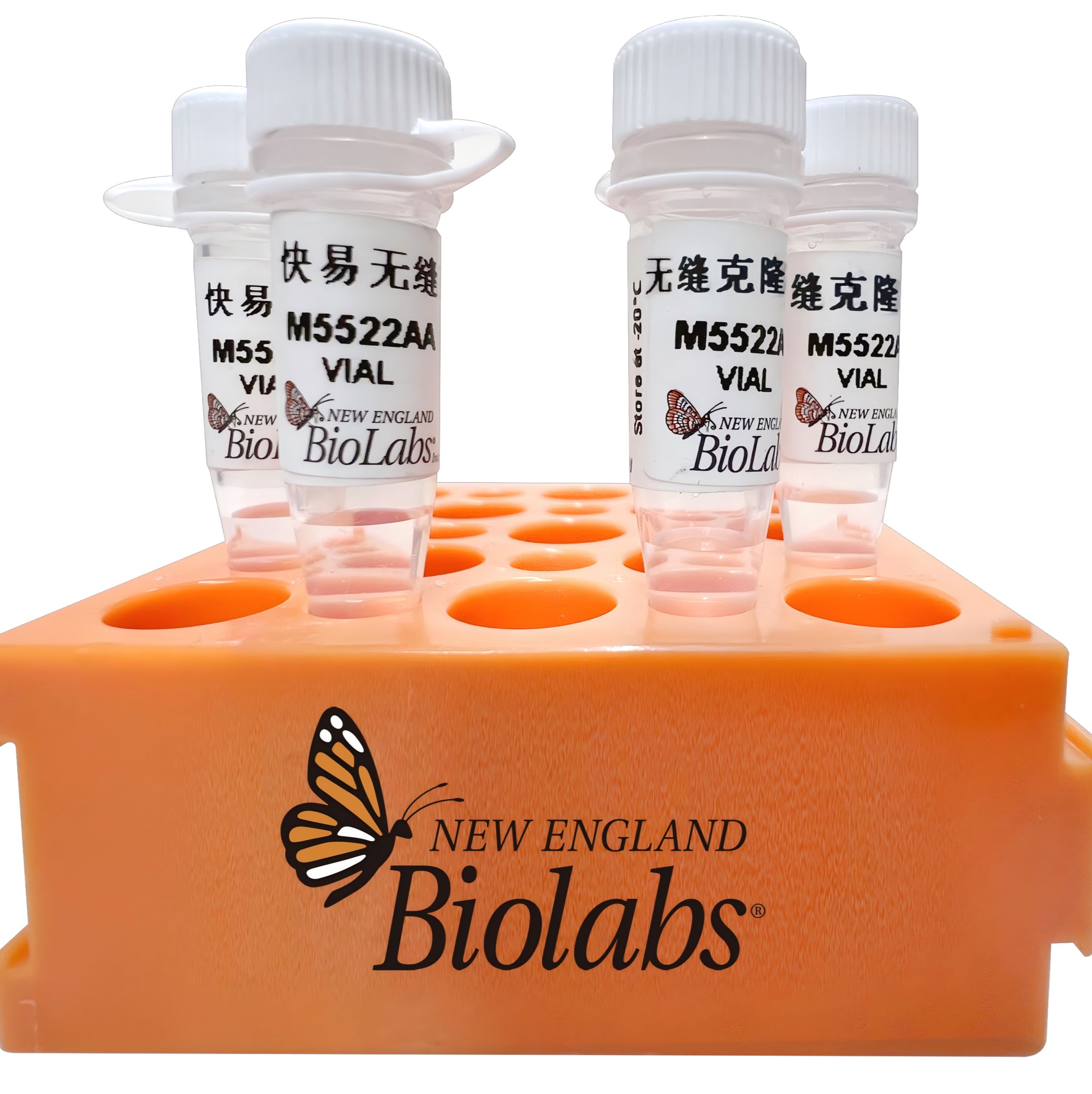 NEB M5522 快易无缝克隆预混液