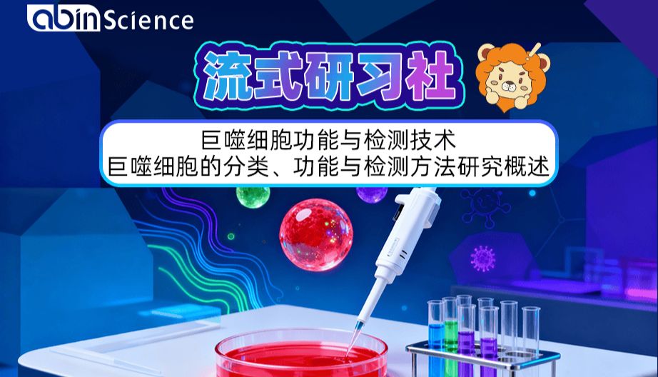 巨噬细胞功能与检测技术丨巨噬细胞的分类、功能与检测方法研究概述