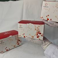 脯氨酸(PRO)含量测定试剂盒