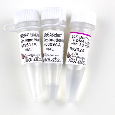 NEB	E1602	NEB® Golden Gate 组装试剂盒（BsmBI-v2）