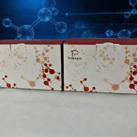 葡萄糖氧化酶（glucose oxidase，GOD）试剂盒（分光光度法）