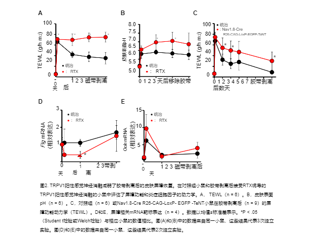 屏幕截图 2026-02-24 133456.png