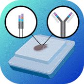 MaxiSeq Human FFPE TCR+BCR (with UMIs)