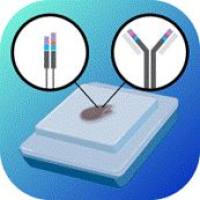 MaxiSeq Human FFPE TCR+BCR (with UMIs)